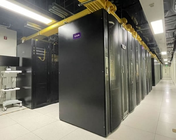 Vietnam native IP
